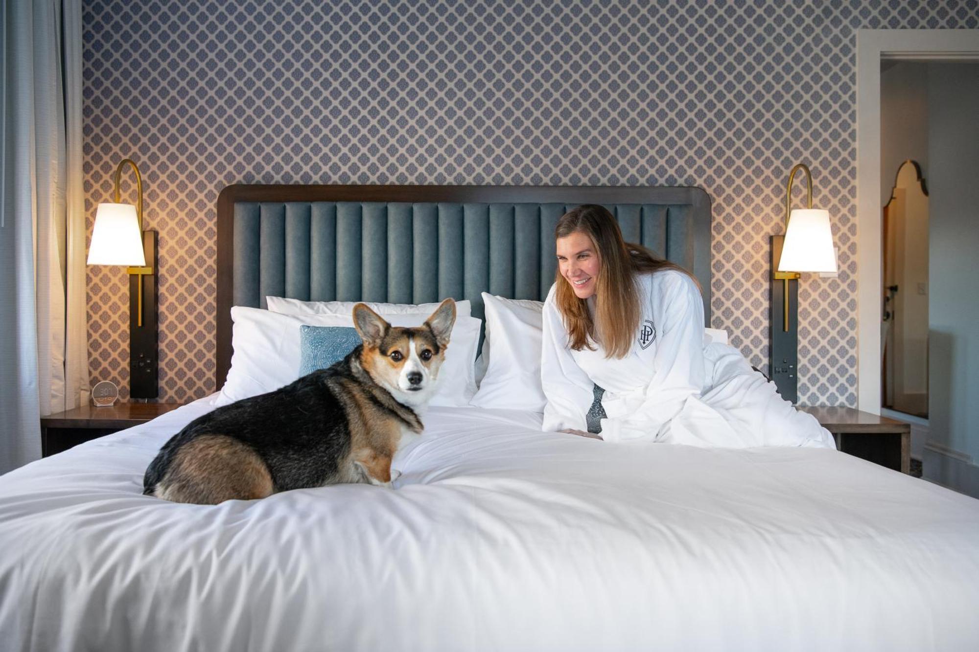 Hotel Petersburg, Tapestry Collection By Hilton Екстер'єр фото
